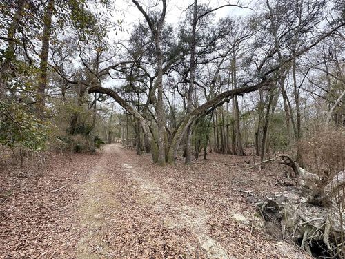 7875 Sw County Road 344, Bell, FL, 32619-1961 | Card Image