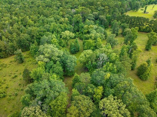 Aerial overview of property's location featuring a forest | Image 8