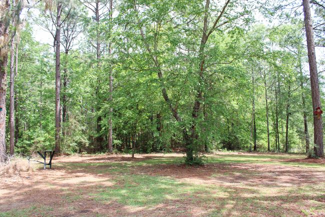 31 Acreage | Image 32