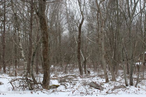 86 &amp; 87 Buck Hill Road, Blakeslee, PA, 18610 | Card Image