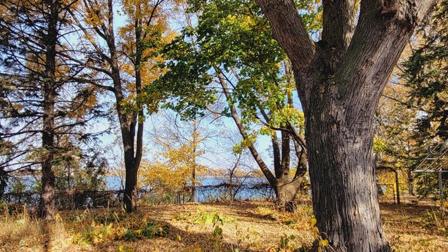 134 W 5 Th St N, House other with 3 bedrooms, 2 bathrooms and null parking in Cottonwood MN | Image 42