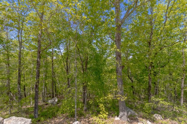 739 Barnes Mill Road, House other with 3 bedrooms, 2 bathrooms and 4 parking in Hamilton GA | Image 76