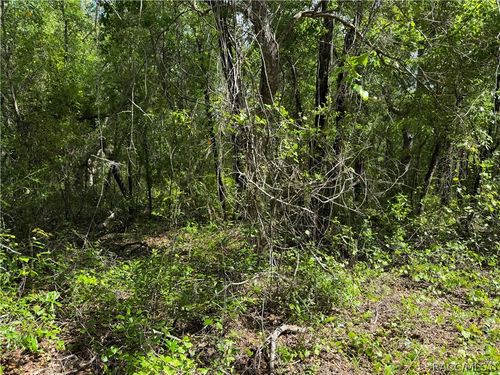 112 S Crestview Ave, INVERNESS, FL, 34452-3720 | Card Image