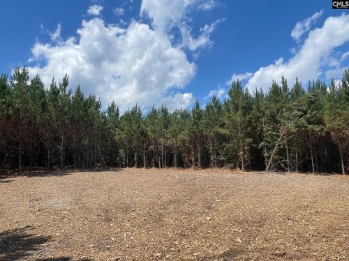 00 Lake Elliot Ct, Cassatt, SC, 29032 | Card Image