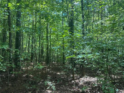 00 Tanner Hall Rd, Dawsonville, GA, 30534 | Card Image