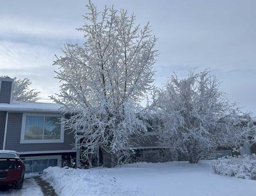 4529 Shannon Dr, Olds, AB, T4H1C5 | Card Image