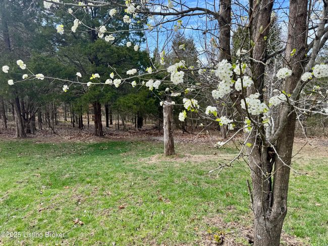 100 Little Cabin Ln, House other with 2 bedrooms, 1 bathrooms and null parking in Falls Of Rough KY | Image 53