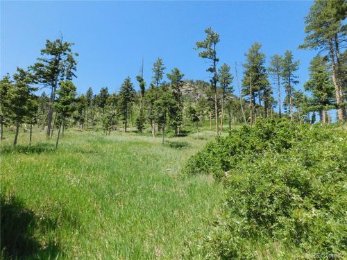 8276 Yuma Cir, Larkspur, CO, 80118 | Card Image