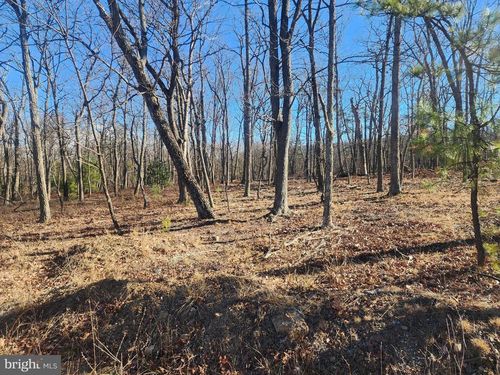 LOT N Pioneer Ln, Augusta, WV, 26704 | Card Image