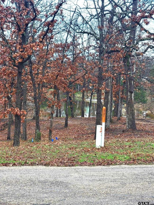 327 La Prada, Home with 0 bedrooms, 0 bathrooms and null parking in Malakoff TX | Image 7