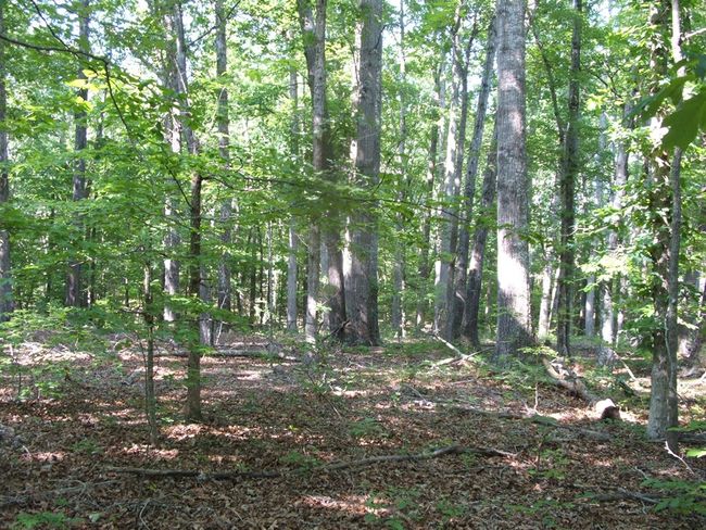 3859 Saxkey Rd, Home with 3 bedrooms, 1 bathrooms and null parking in Saxe VA | Image 21