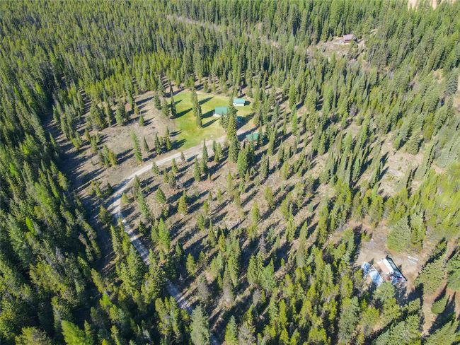 View of property location featuring a heavily wooded area | Image 41