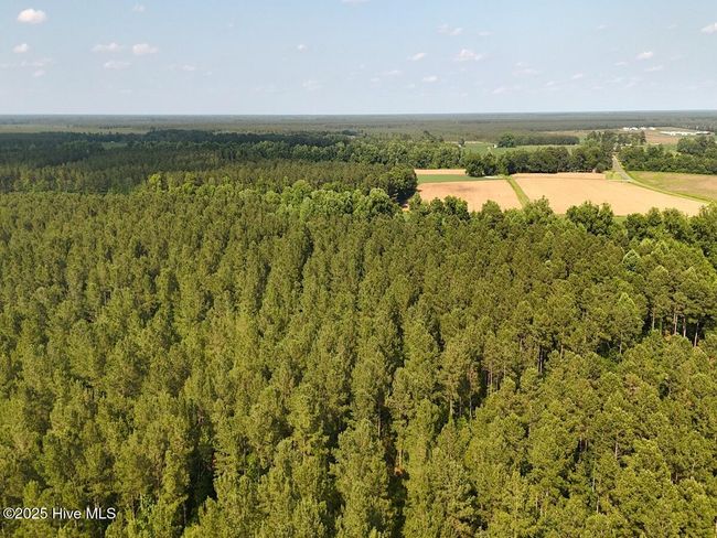 1 Barbee Rd, Home with 0 bedrooms, 0 bathrooms and null parking in Richlands NC | Image 23