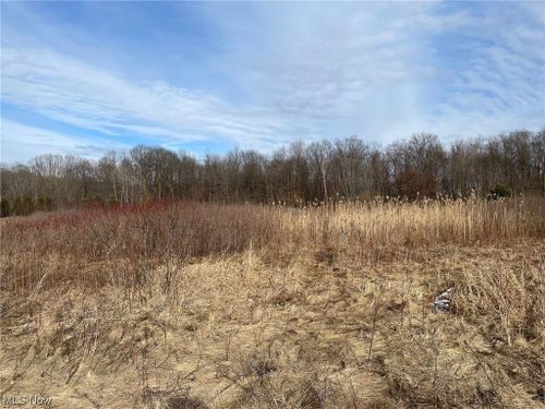  Timber Pointe Trail, Mantua, OH, 44255 | Card Image