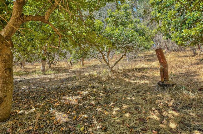 580 Snyder Ave, House other with 1 bedrooms, 1 bathrooms and 1 parking in Aromas CA | Image 8