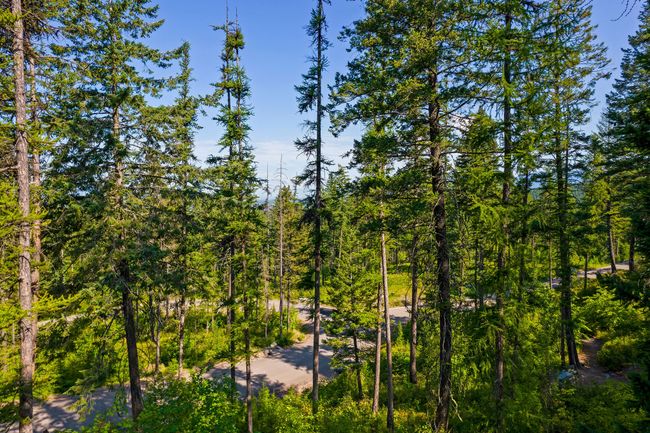 183 Pinto Trl, Home with 0 bedrooms, 0 bathrooms and null parking in Bigfork MT | Image 27