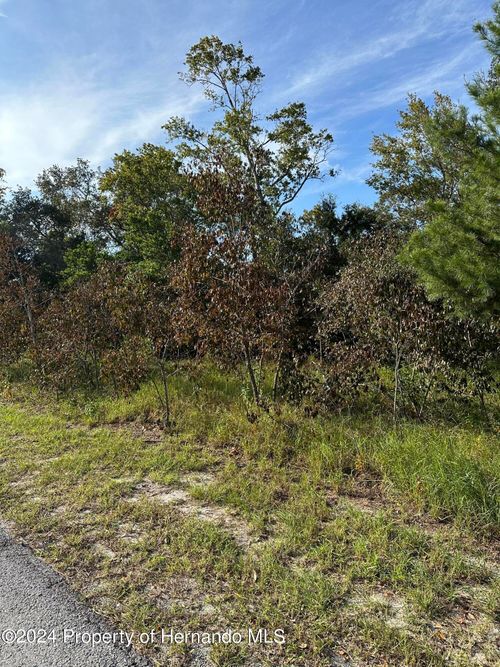 000 Sylvia Ave, Spring Hill, FL, 34606 | Card Image