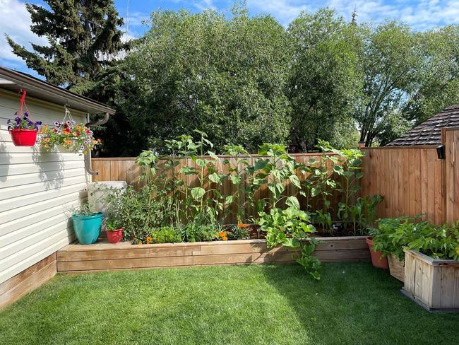 8 Broughton Cres, House detached with 4 bedrooms, 2 bathrooms and 4 parking in Red Deer AB | Image 8