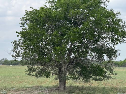 00 County Road 405, Floresville, TX, 78114 | Card Image