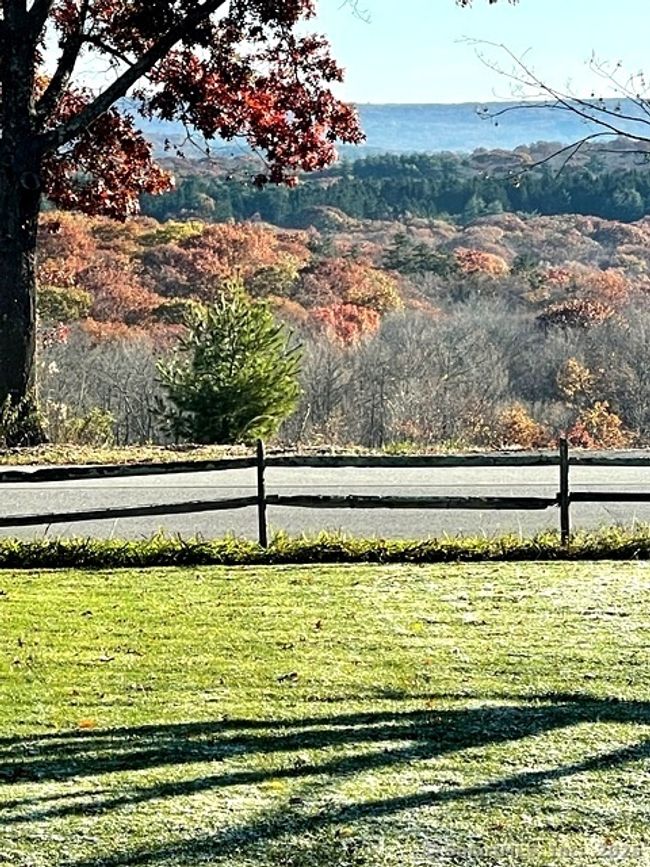 VIEW ACROSS ROAD | Image 5