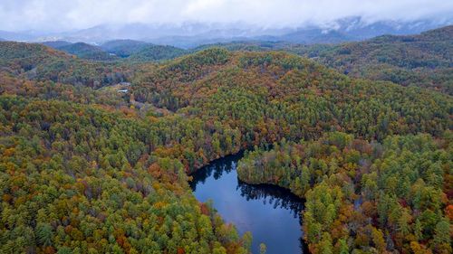 3549P Snowbird Rd, Robbinsville, NC, 28771-9119 | Card Image