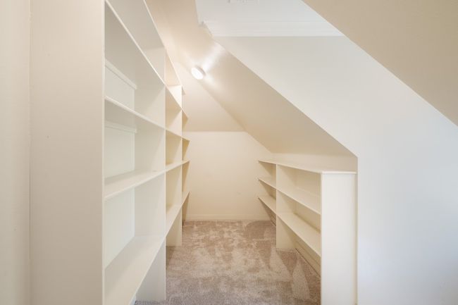 Spacious closet featuring carpet | Image 28