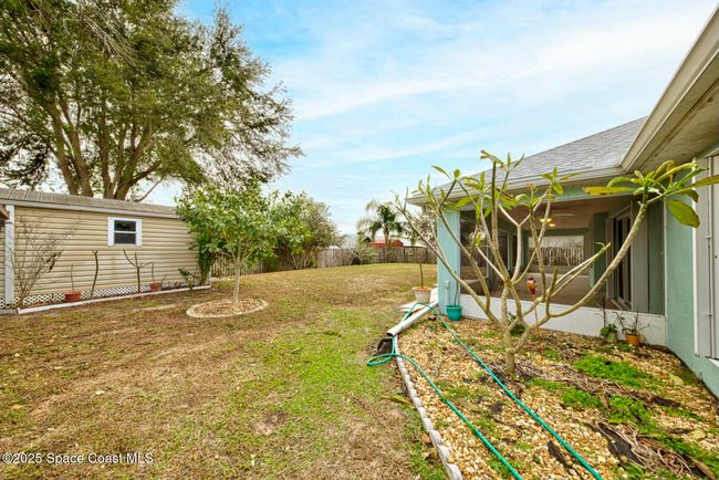 Backyard | Image 36
