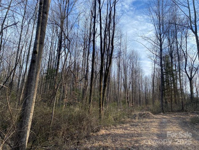 3 - 3288 Tatertown Loop, Home with 0 bedrooms, 0 bathrooms and null parking in Nebo NC | Image 6