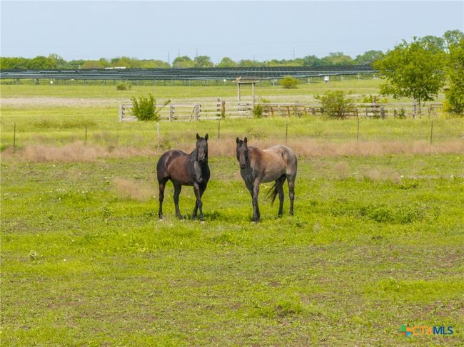 411 Wade Rd, House other with 4 bedrooms, 2 bathrooms and null parking in Eddy TX | Image 9