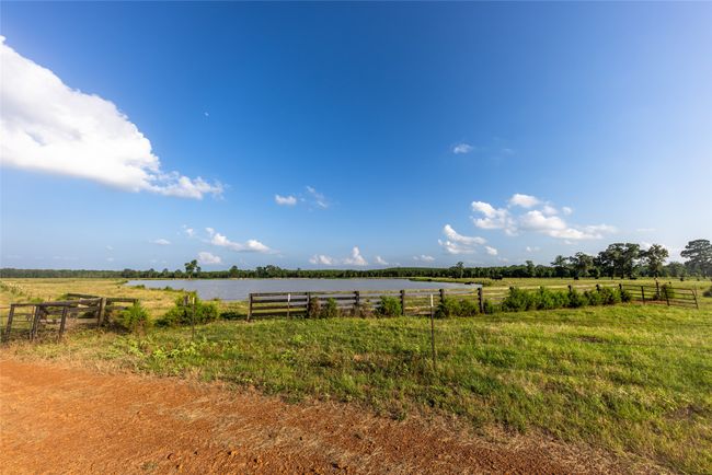 RD - 9759 Texas Highway 155, Home with 0 bedrooms, 0 bathrooms and null parking in Avinger TX | Image 31