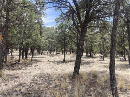 Lot 30 Hop Canyon Rd, Magdalena, NM, 87825 | Card Image
