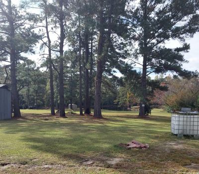 View of yard featuring a storage unit | Image 3