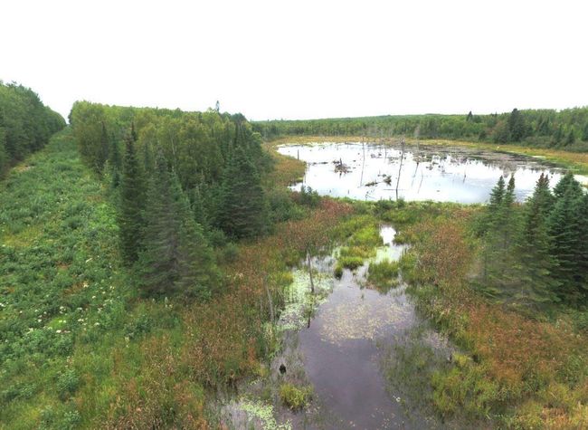 Pond with drainage leading to a stream | Image 16