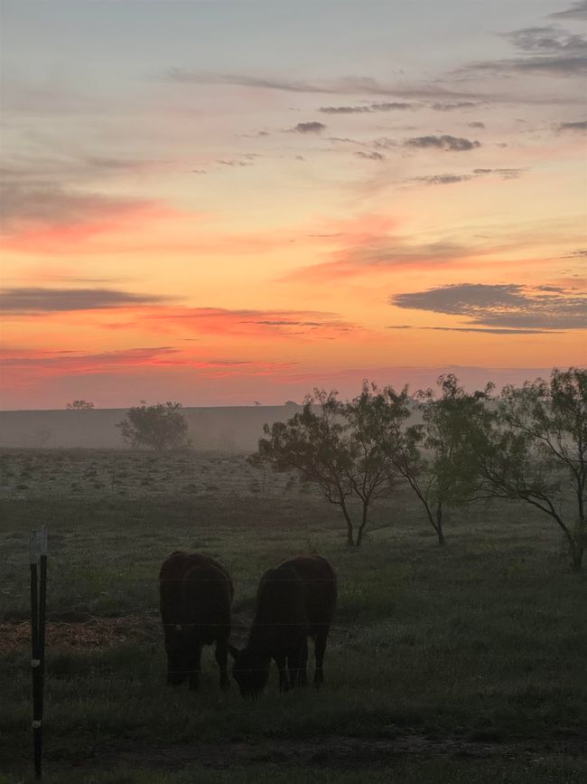2332 County Road 2109, Home with 0 bedrooms, 0 bathrooms and null parking in Lometa TX | Image 14