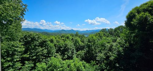 0 Highgrove Dr, Talking Rock, GA, 30175 | Card Image