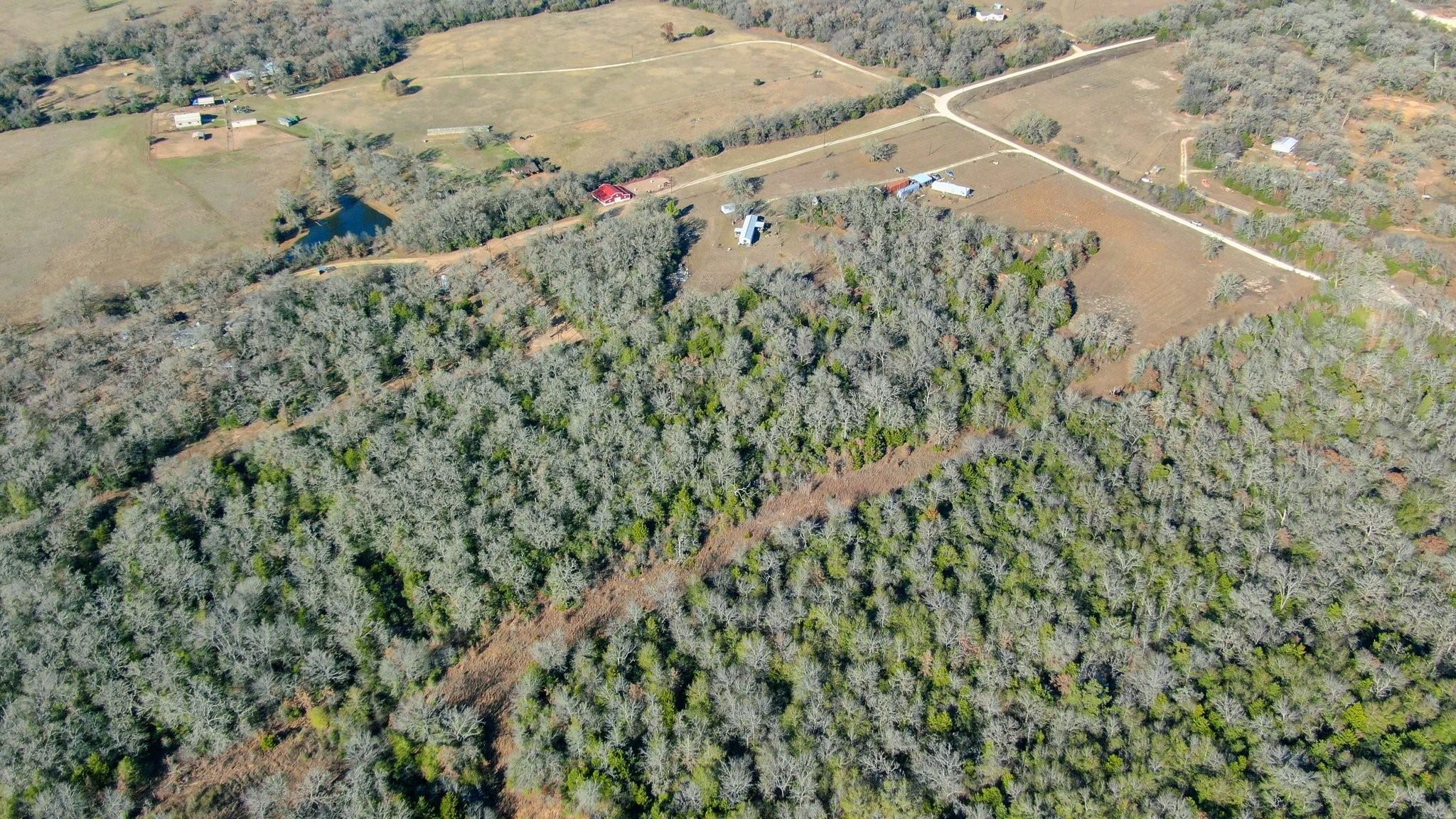 Farm in Caldwell 5