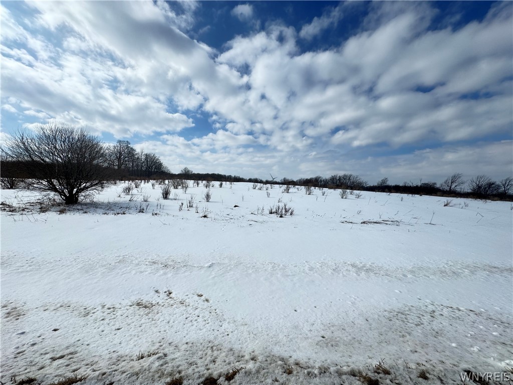 Land in Orangeville 5