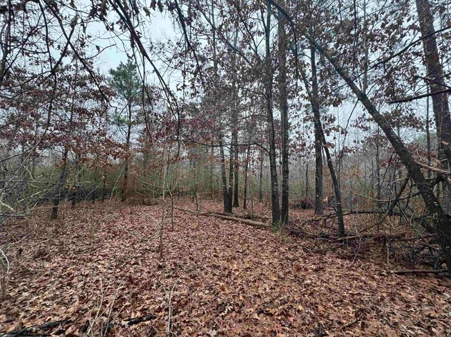 000 Ashley Road 912, Home with 0 bedrooms, 0 bathrooms and null parking in Hamburg AR | Image 44