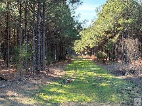 TBD County Road 3774, Queen City, TX, 75572 | Card Image