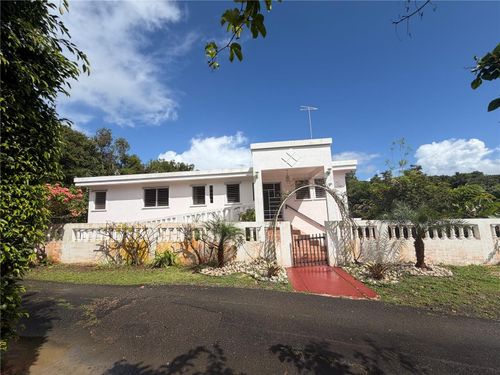 Sector Valle Real Bo. Arenas, CIDRA, PR, 00739 | Card Image