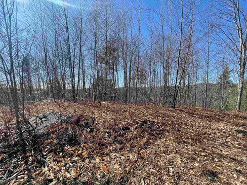 63 New Boston Rd, Francestown, NH, 03043-3401 | Card Image