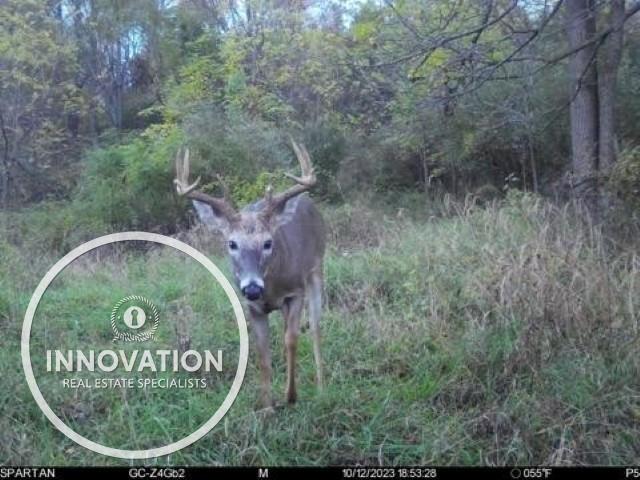 Latson Rd, Howell, MI 48855