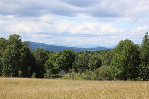 3091 Baptist St, Williamstown, VT, 05679-9663 | Card Image