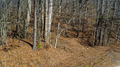 0 Rambling Road, Talking Rock, GA, 30175 | Card Image