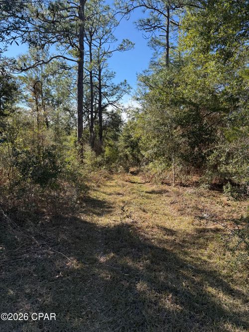 Lot 21 Grassy Pond Rd, Chipley, FL, 32428 | Card Image