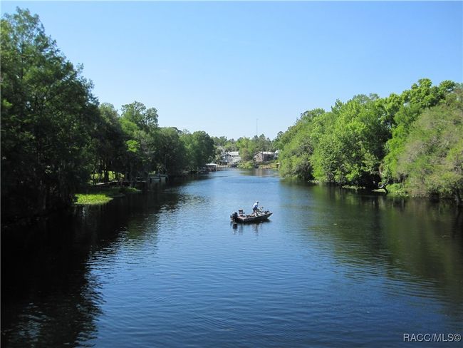 10264 N Elkcam Blvd, Home with 0 bedrooms, 0 bathrooms and null parking in Citrus Springs FL | Image 11