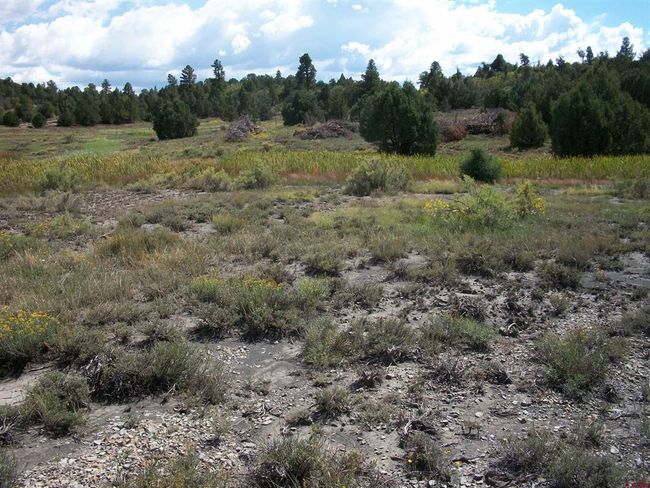 13989 Road 35.6, Home with 0 bedrooms, 0 bathrooms and null parking in Mancos CO | Image 18