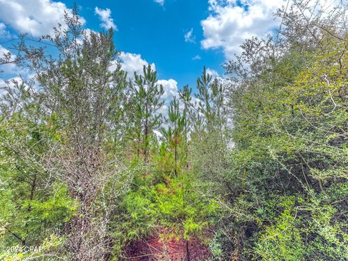 bryant-bay-Tract 6418 N Union Hill Road, Caryville, FL, 32427 | Card Image