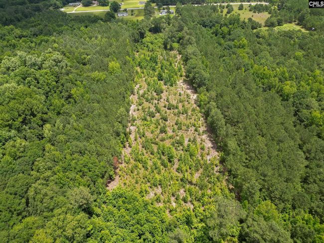 00 Kirkland Rd, Home with 0 bedrooms, 0 bathrooms and null parking in Rembert SC | Image 18