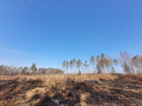 NEAR Knowles Rd, Loretta, WI, 54896 | Card Image